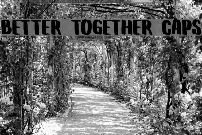 Better Together Caps Font examples