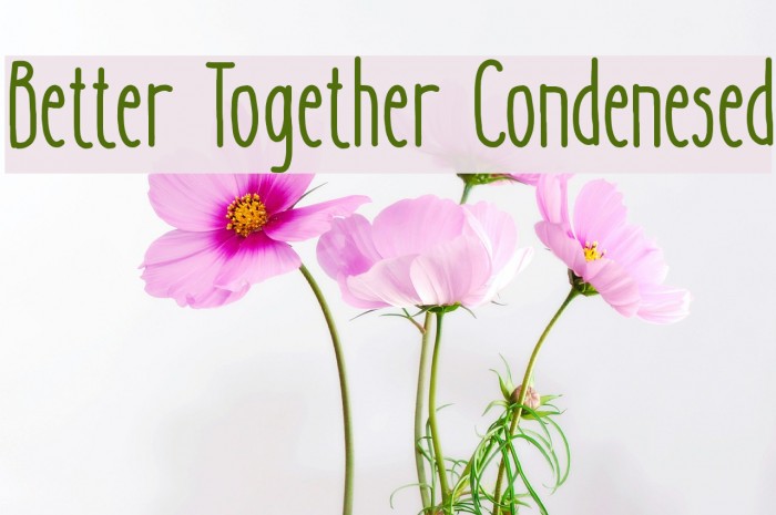 Better Together Condenesed Font examples