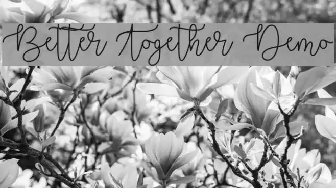 Better Together Demo Font examples