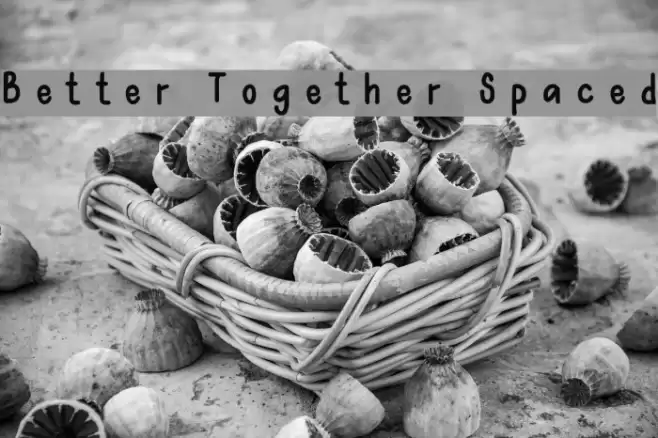 Better Together Spaced Font examples