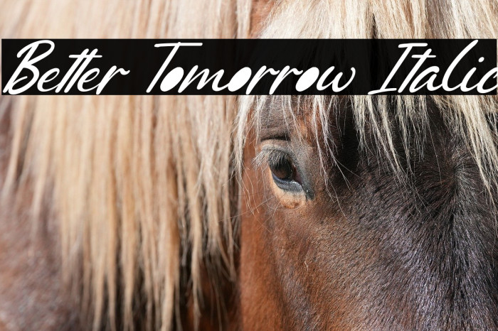 Better Tomorrow Italic Example 3