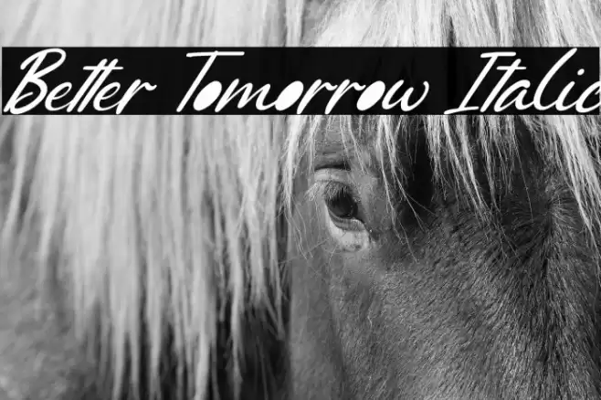 Better Tomorrow Italic Font examples