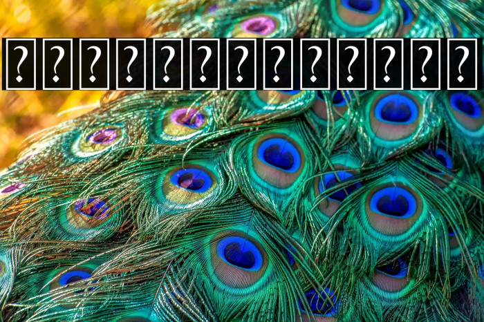 Better Tomorrow Swash Example 3