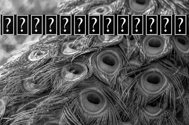 Better Tomorrow Swash Font examples