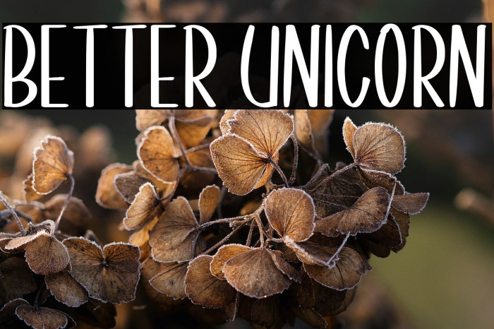 Better Unicorn Example 2