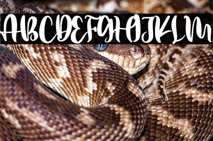 Better Weather Example 1