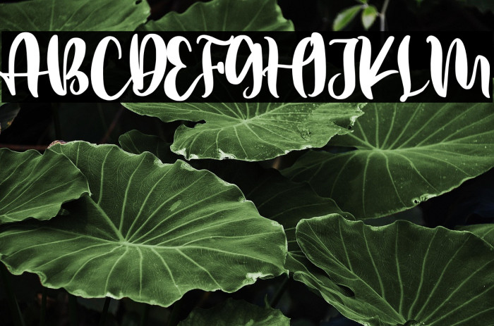 Better Weather Example 3