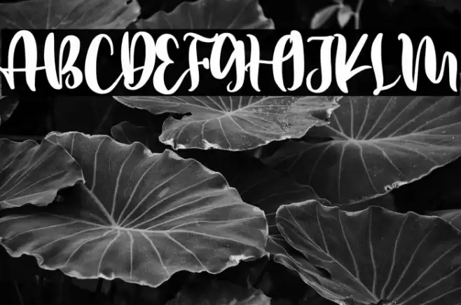 Better Weather Font examples