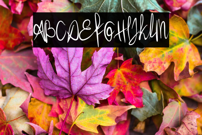 Better flash Example 1