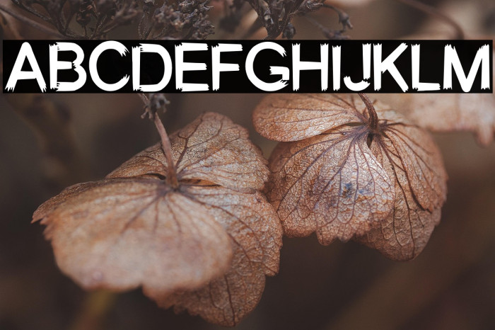 Better ghost Example 3