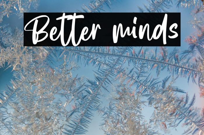 Better minds Example 2