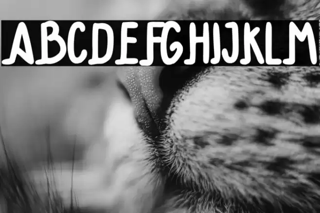 Better time Font examples