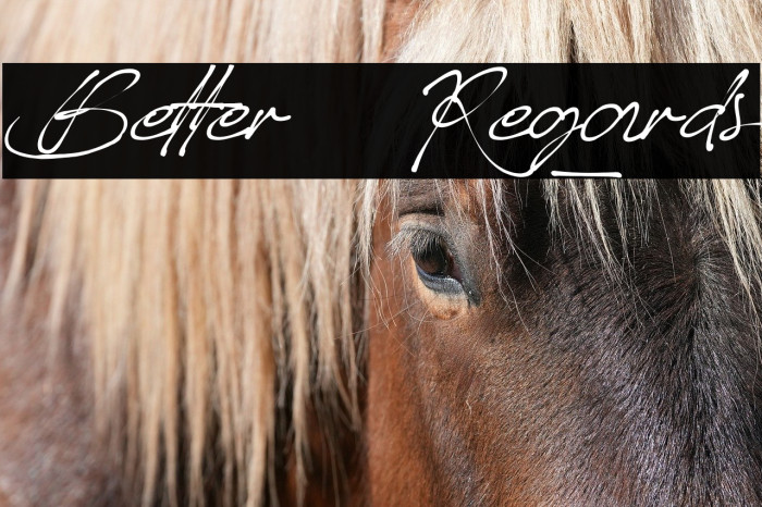 Better_Regards Example 2