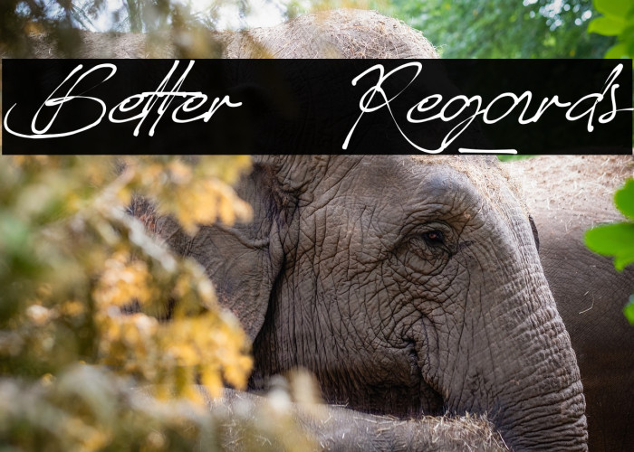 Better_Regards Example 3