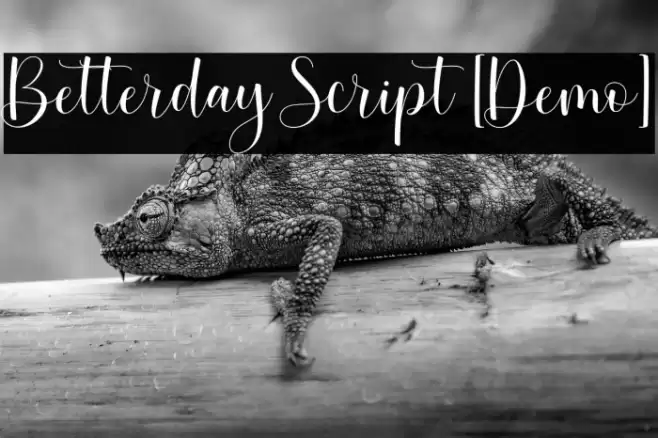 Betterday Script [Demo] Font examples