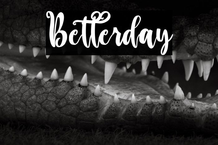 Betterday Example 2