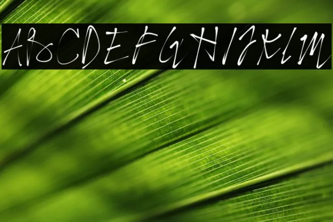 Betterdo Example 2