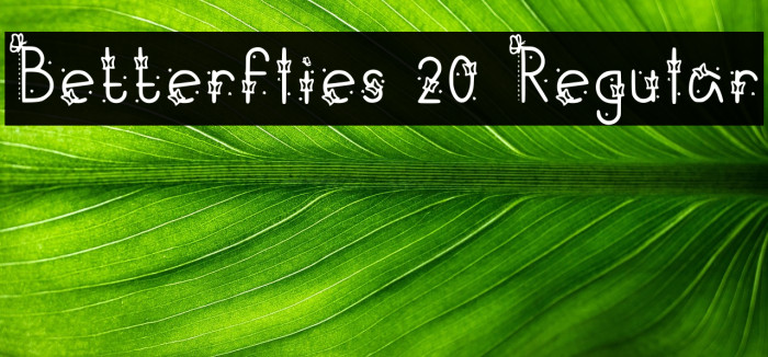 Betterflies 20 Regular Example 1