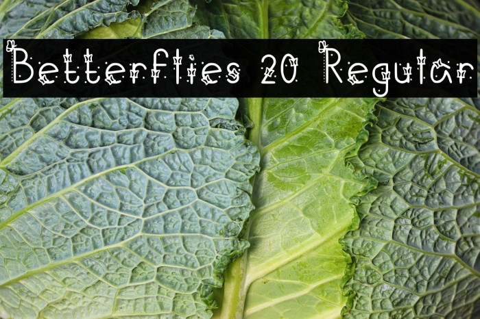 Betterflies 20 Regular Example 2