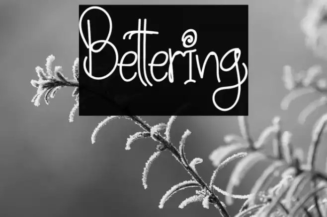 Bettering Font examples