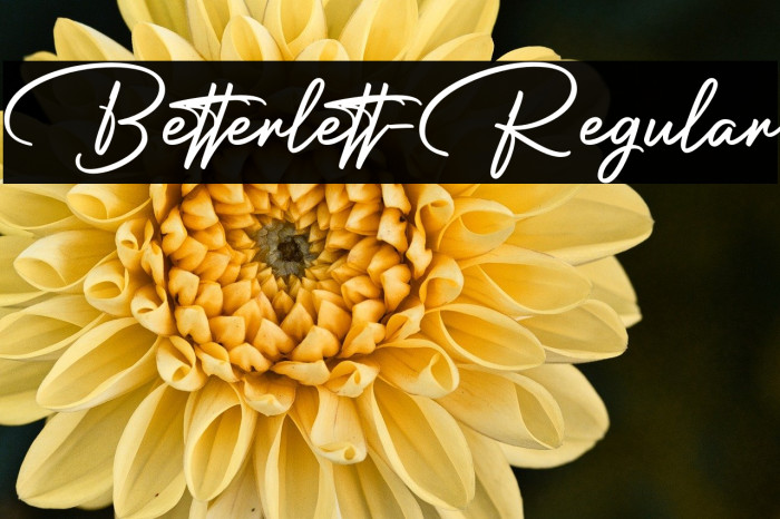 Betterlett-Regular Example 3