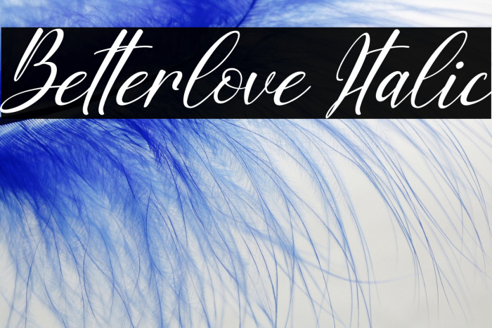 Betterlove Italic Example 3