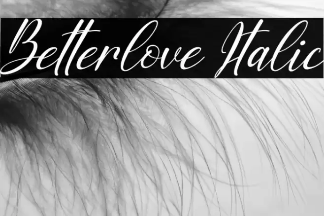 Betterlove Italic Font examples
