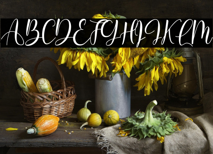 Betterlove Example 1