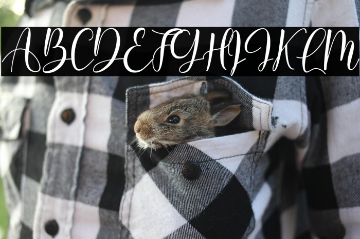 Betterlove Example 2