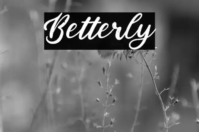 Betterly Font examples