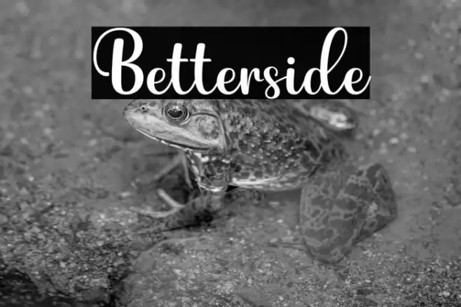 Betterside Font examples