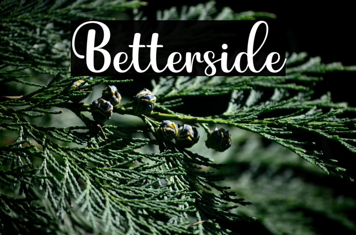 Betterside Example 3