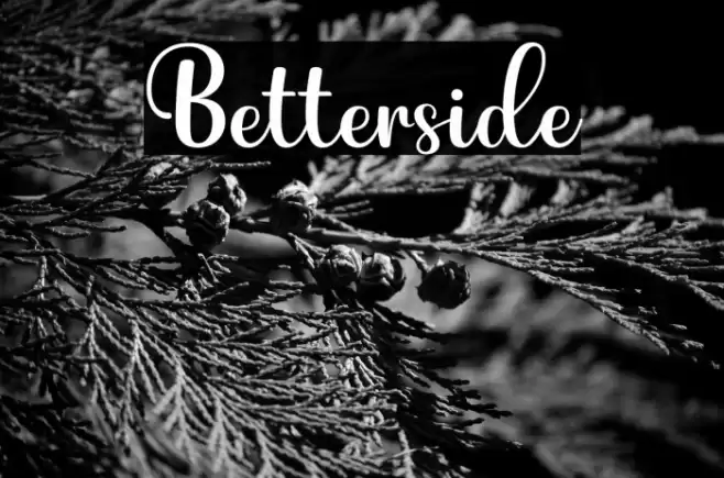 Betterside Font examples