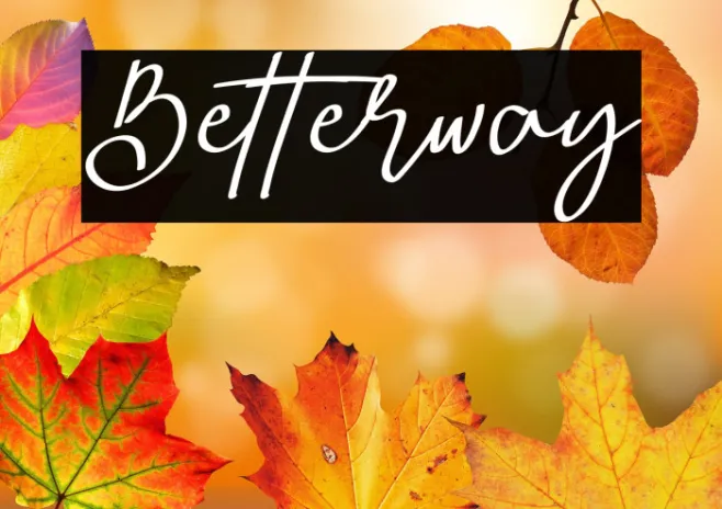 Betterway Example 2