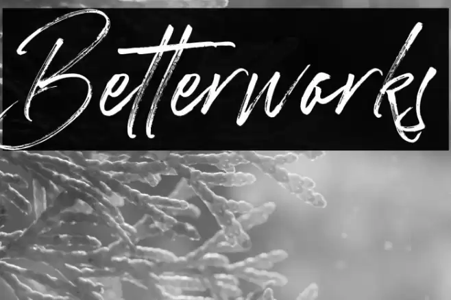Betterworks Fonte examples