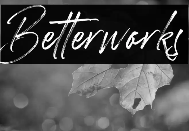 Betterworks Fonte examples