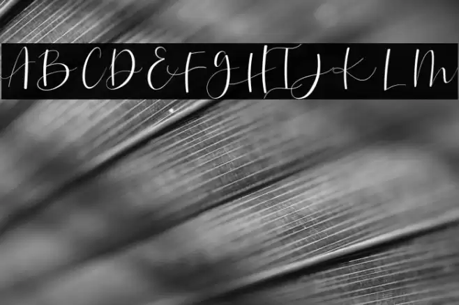 Betthofen Font examples