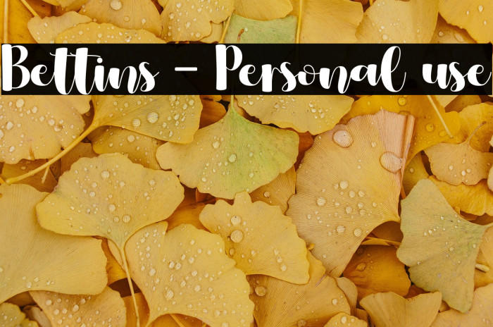 Bettins - Personal use Example 1