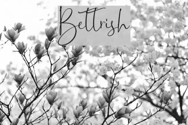 Bettrish Font examples