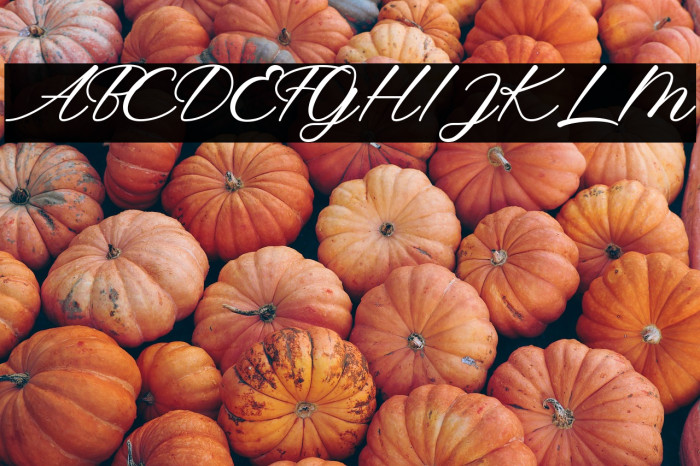 Betty Chamilla (Personal Use) Example 1