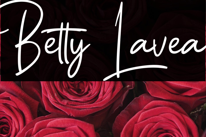Betty Lavea Example 2