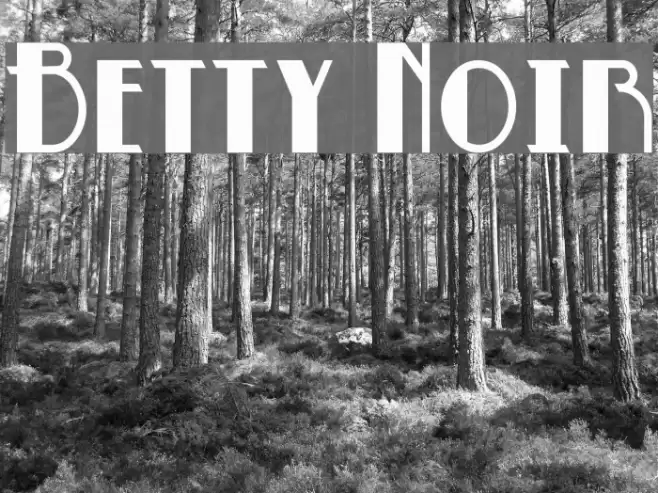 Betty Noir Font examples