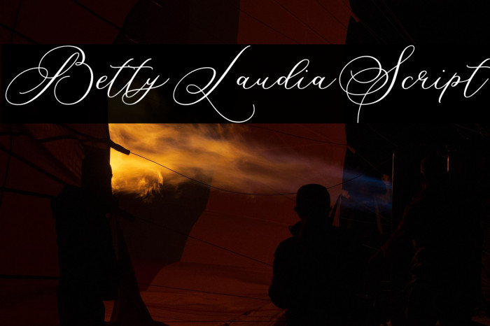 BettyLaudiaScript Example 1