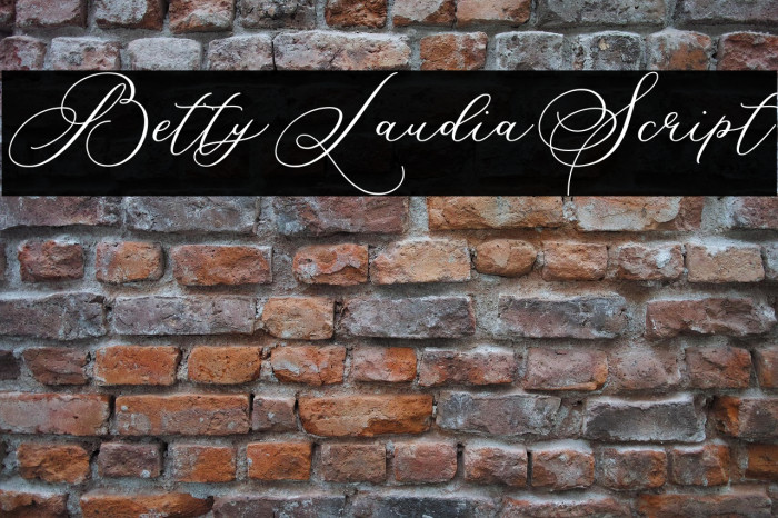 BettyLaudiaScript Example 2