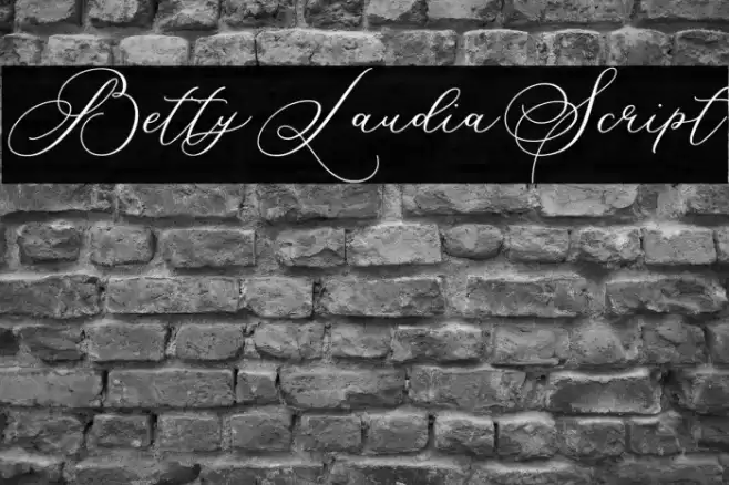 BettyLaudiaScript Font examples