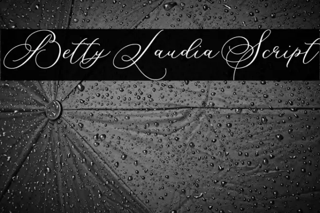 BettyLaudiaScript Font examples