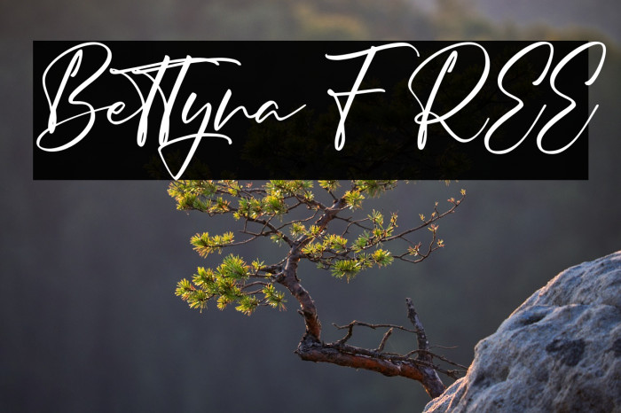 Bettyna FREE Example 2