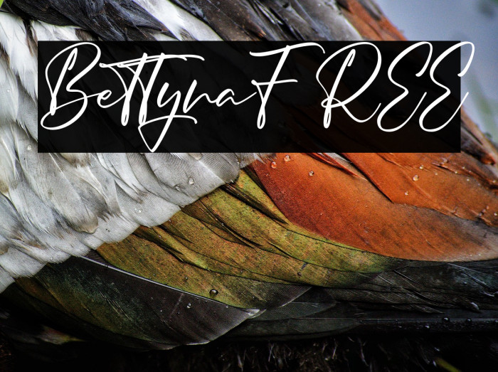 BettynaFREE Example 1