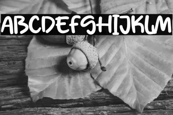 Between Choice フォント examples