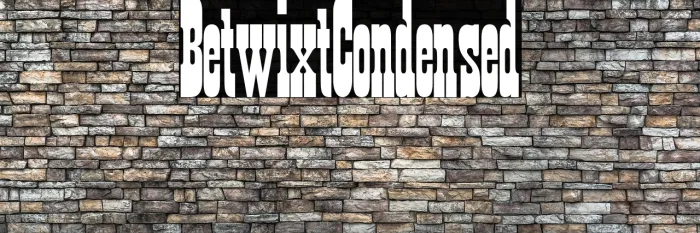 Betwixt Condensed Example 2
